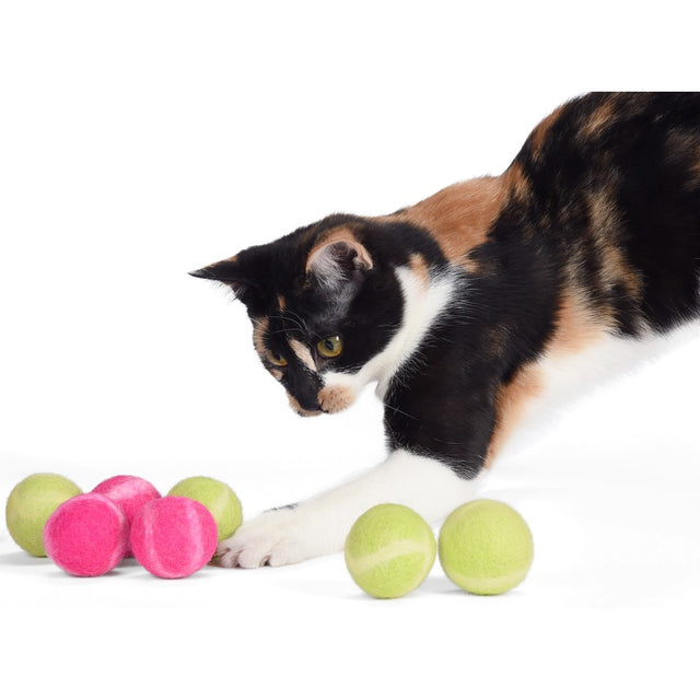 Eco-friendly pet toys