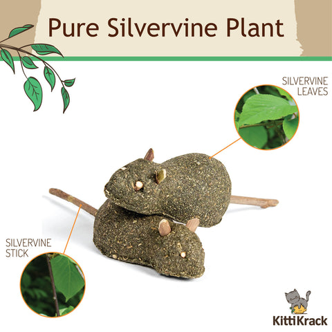 Silvervine Mice Lollipops