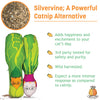 KittiVeggi- Silvervine Vegetables - Plush Catnip Toy