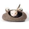Ferret Cave and Tunnel - Frog