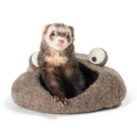 Ferret Cave and Tunnel - Frog