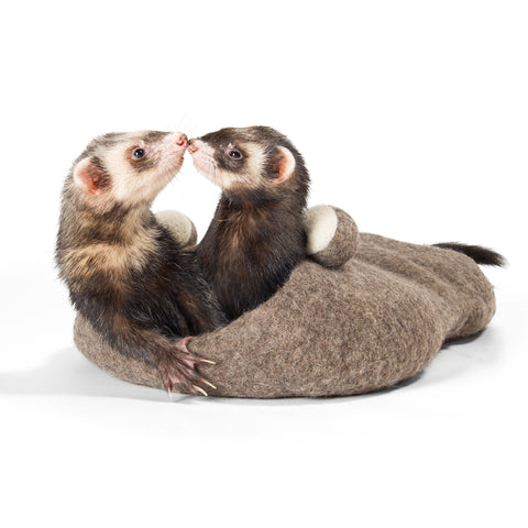 Ferret Cave and Tunnel - Frog