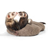 Ferret Cave and Tunnel - Frog