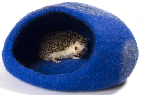 Sonic Blue