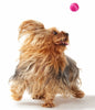 Majenta Pink
