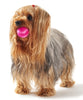 Majenta Pink
