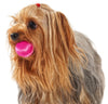 Majenta Pink