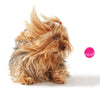 Majenta Pink