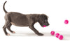 Majenta Pink