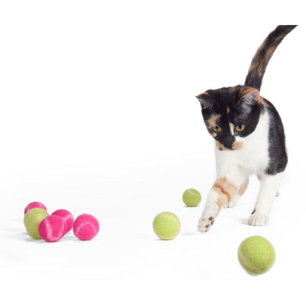 Eco friendly pet toys