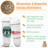 KittiBuzz- Silvervine Coffee Cups - Plush Catnip Toy